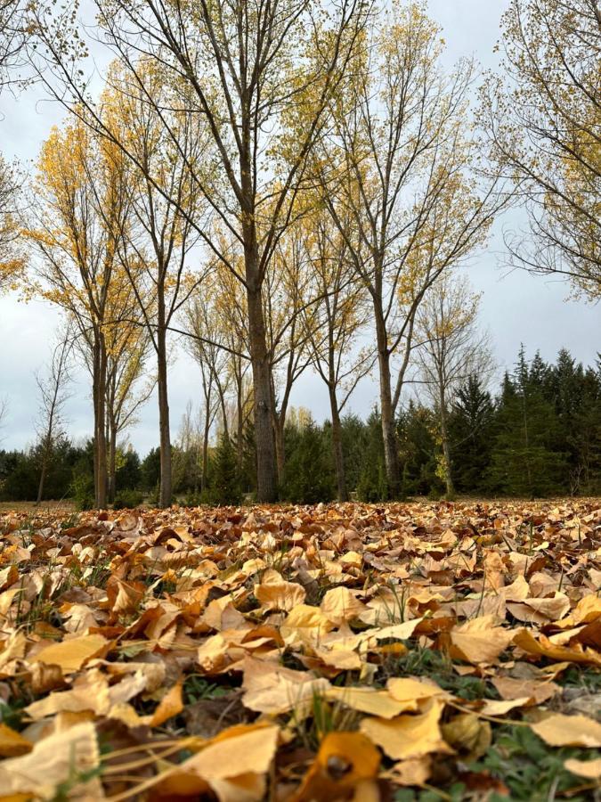 Finca Paraiso Rural El Burgo De Osma Eksteriør bilde