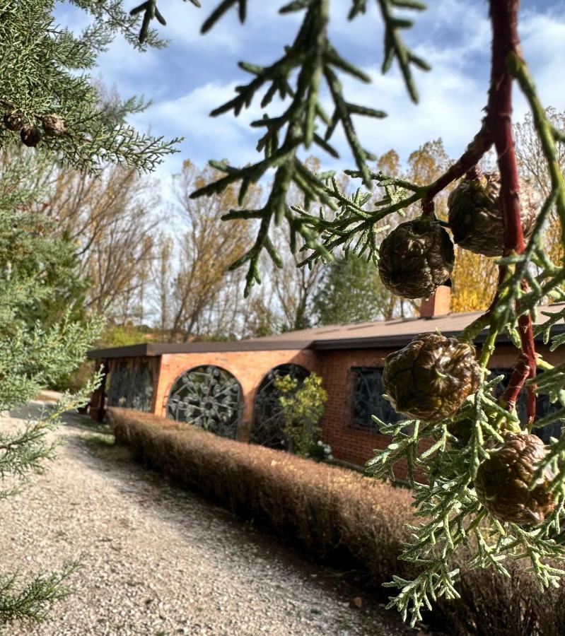 Finca Paraiso Rural El Burgo De Osma Eksteriør bilde