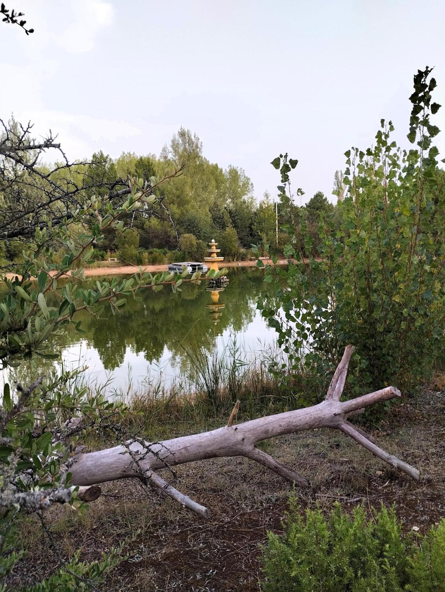 Finca Paraiso Rural El Burgo De Osma Eksteriør bilde