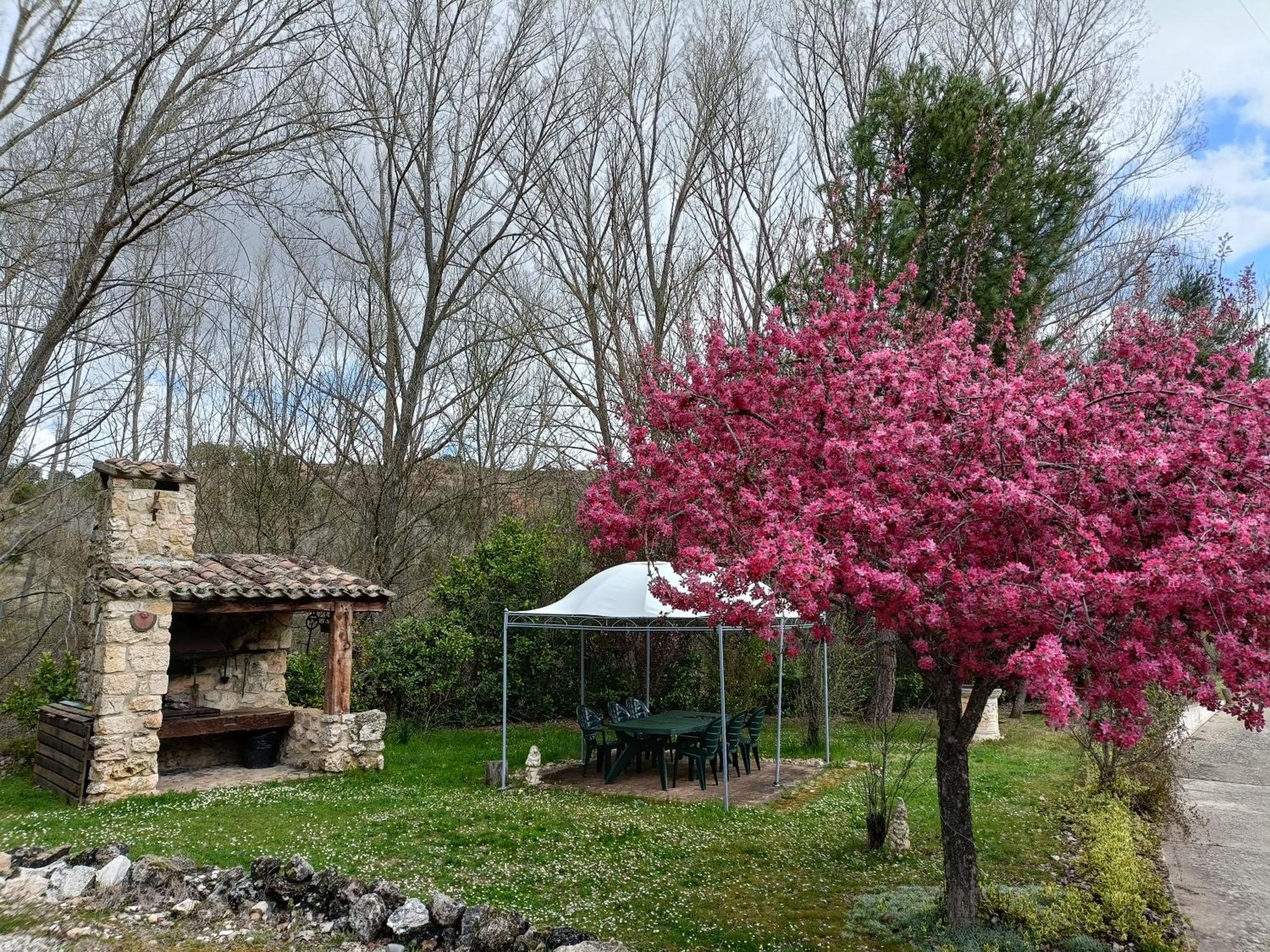 Finca Paraiso Rural El Burgo De Osma Eksteriør bilde
