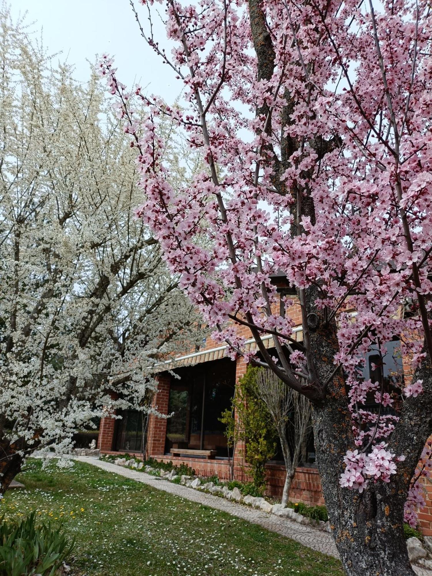 Finca Paraiso Rural El Burgo De Osma Rom bilde